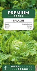 Lettuce Iceberg Saladin Seed
